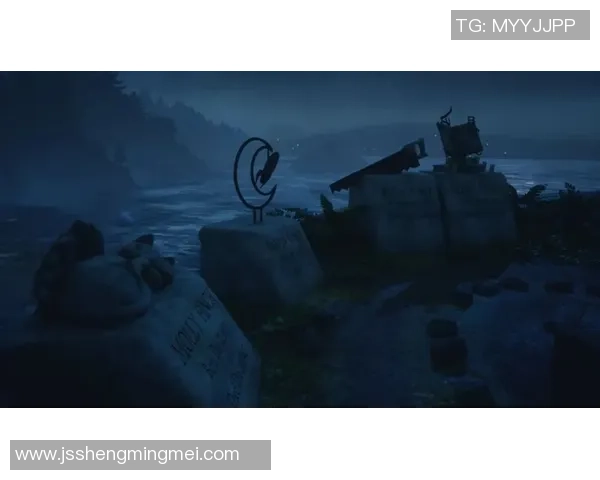 布莱克尼的神秘魅力探索与人文历史的深度交融之旅