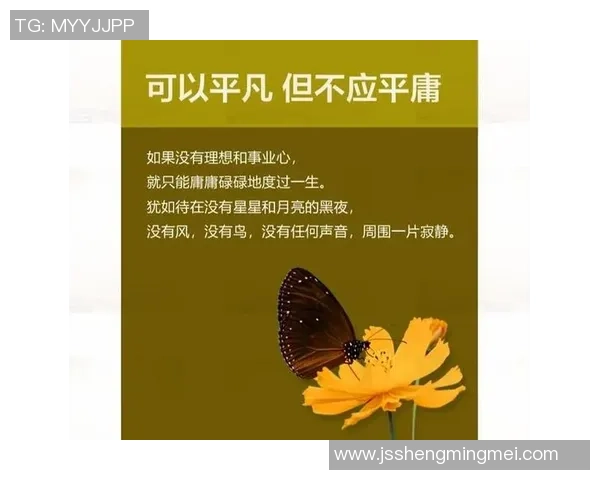 恩佐的成长之路：从梦想起航到实现自我价值的心路历程